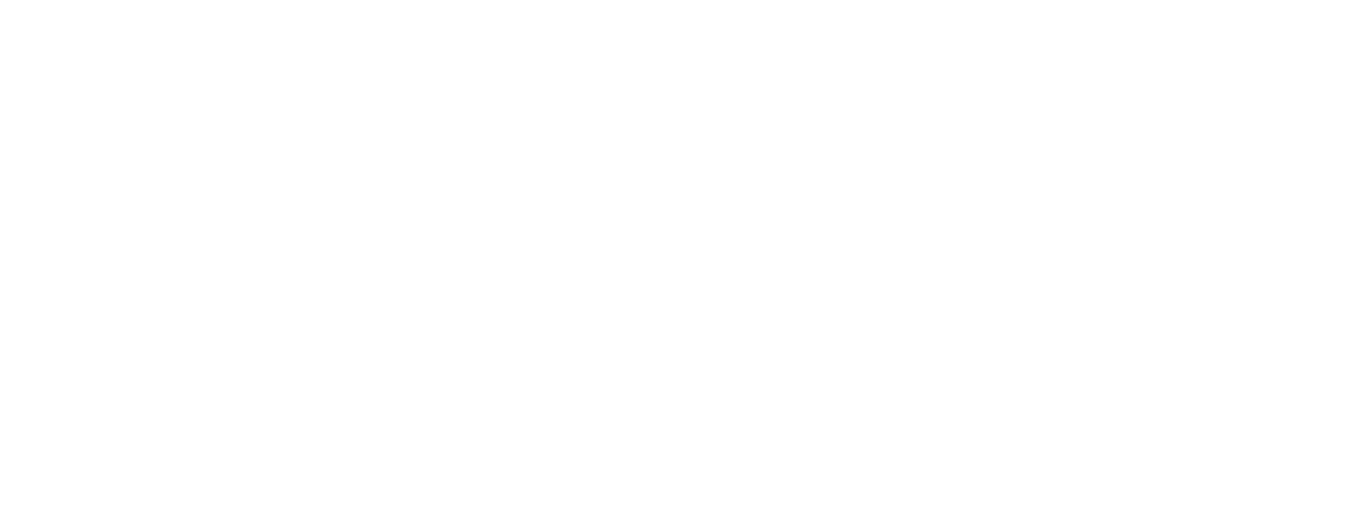 La V — Vietnamese Fusion